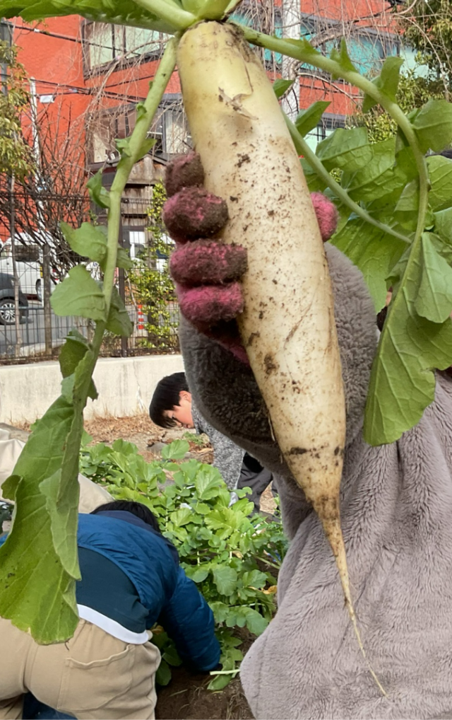 美しいで賞　入賞作品