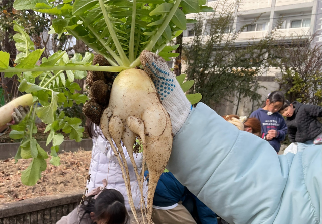 面白いで賞　入賞作品