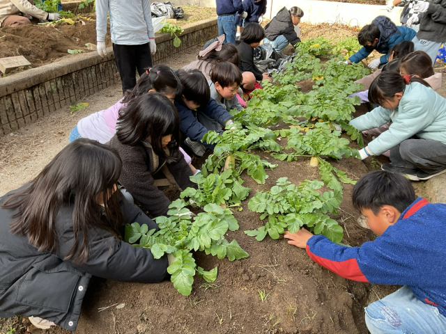 おれませんように。大事に大事にほります。