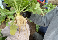 どうしてこうなったのかな。