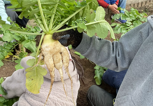 どうしてこうなったのかな。