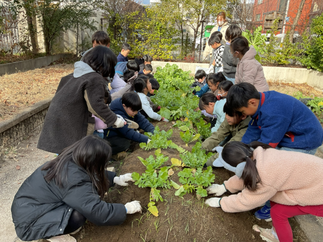 日なたと日陰では様子が違うね。