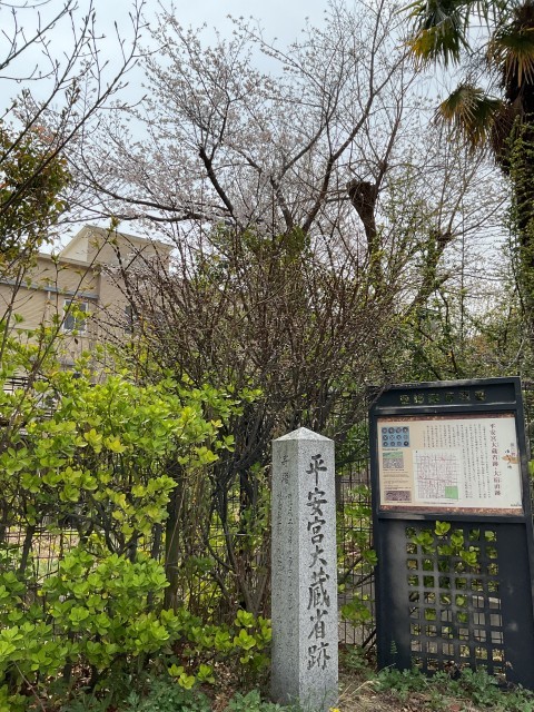 桜、平安宮大蔵省跡