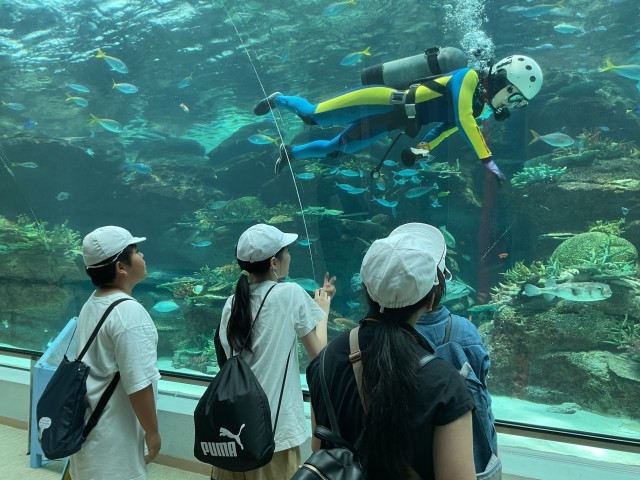 修学旅行