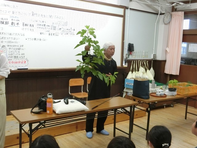 カイコの秘密と底力