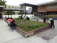校門前の花壇で