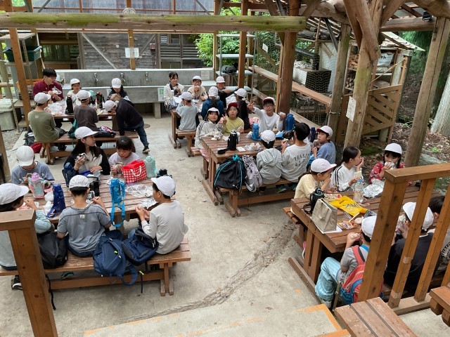 山の家
