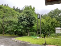 朝のつどい
