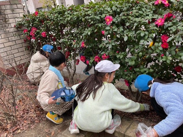 材料になるものがみつかった！