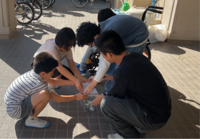 みんなで虫かごの蓋を開ける様子