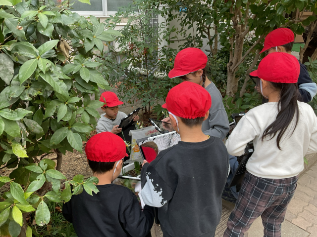 「この花はなんていうんだろう？」