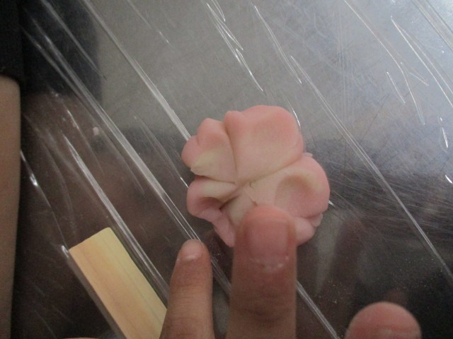 どう見てもさくらです