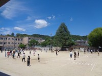 たてわり遊びの様子です