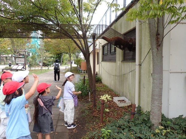 京都市動物園