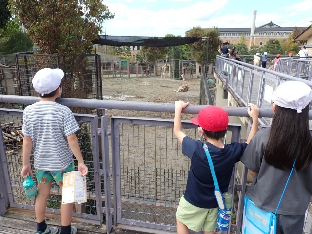 京都市動物園
