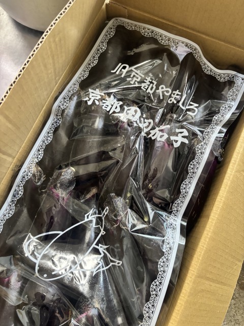 京都府産のなすです。
