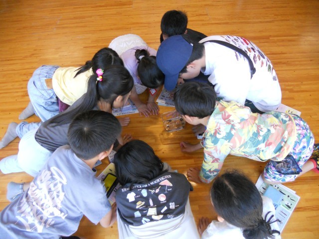 学校に戻って観察しています。