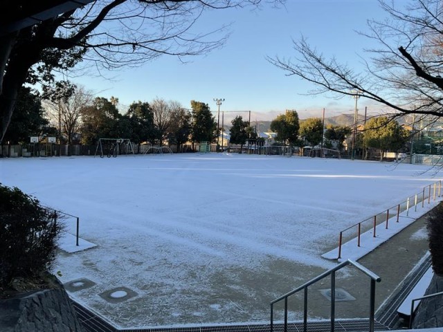 雪化粧の運動場