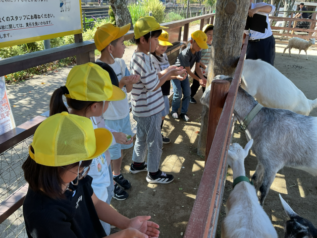 やぎにごはんをあげたよ