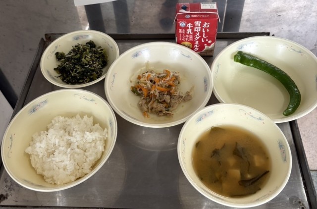立派な京野菜万願寺とうがらしが届きました