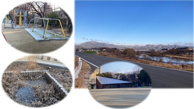 1月20日の朝の様子