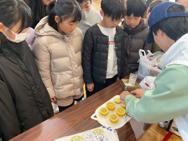 レモン電池による発電