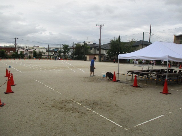 ８時１０分ごろ