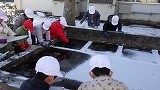 池に氷が張っていたよ