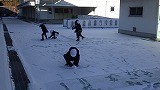 雪がサラサラ