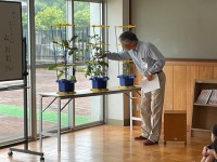 ひと鉢ずつ見ながら・・・