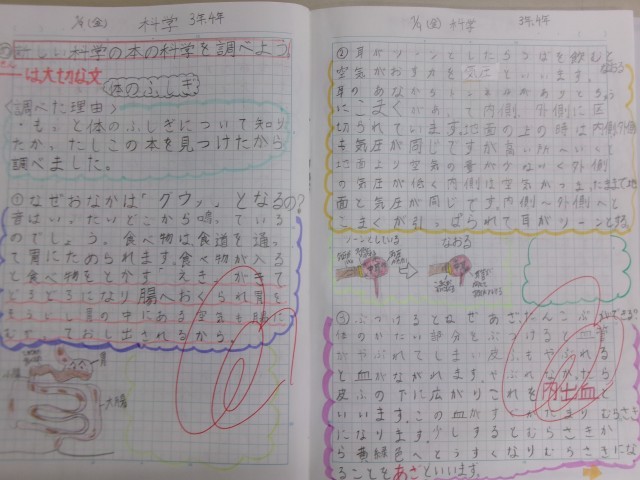 工夫してまとめています。