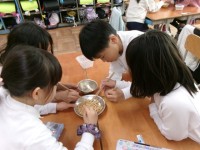 うまくつまめるかな？