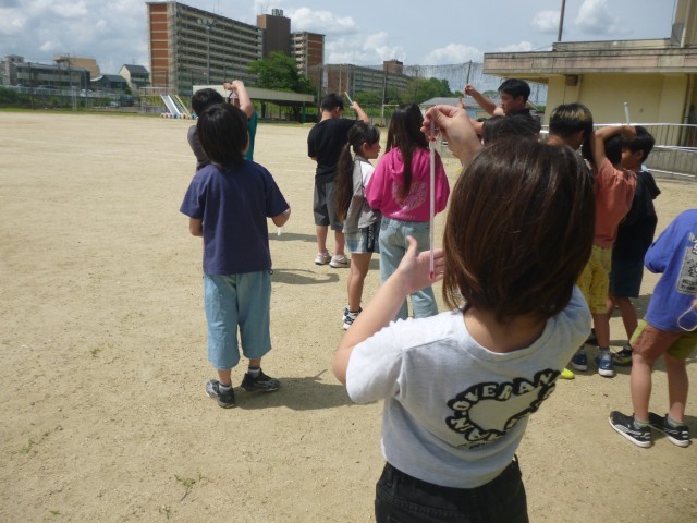 日光が直接当たらないように・・・