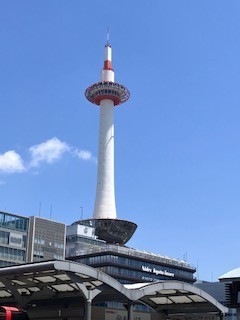 あそこにのぼってきたんだね！