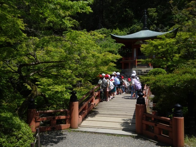 醍醐寺境内ラリー