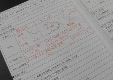 学習の記録