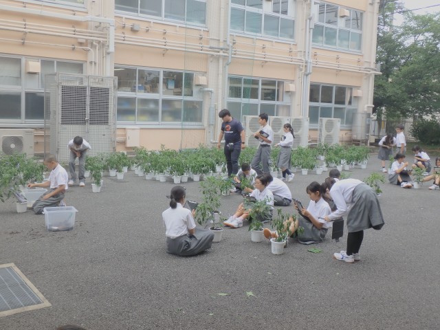 1年