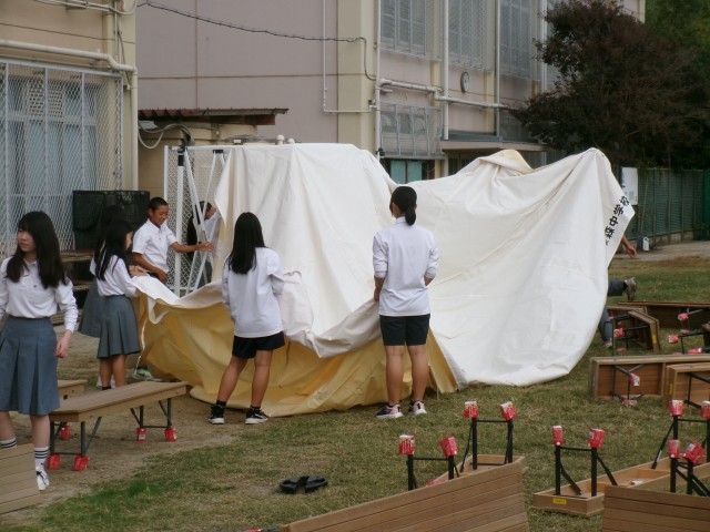 生徒がテントの帆を張る様子
