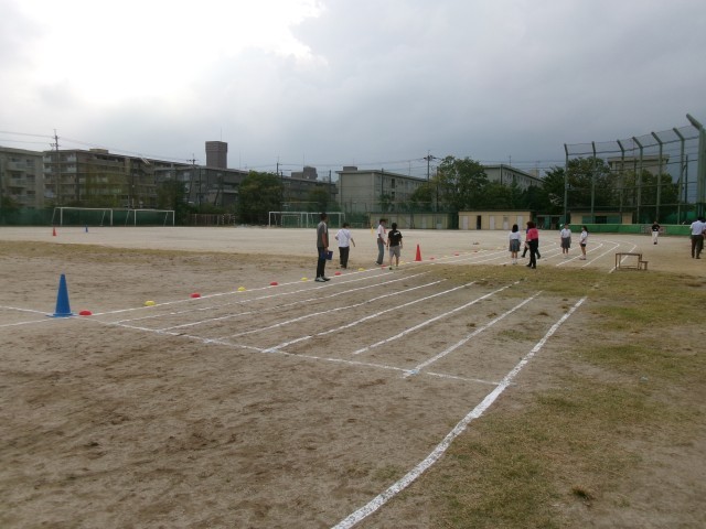 完成したフィールドの様子